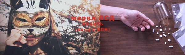 твердый Вяземский