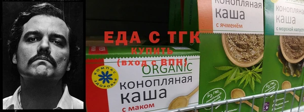 дживик Вязьма