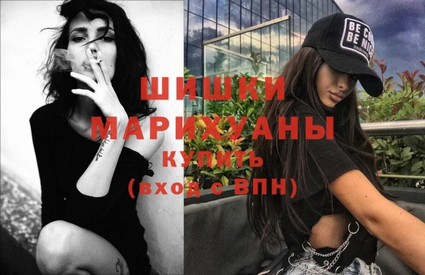 дживик Вязьма