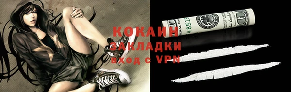 дживик Вязьма