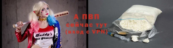 твердый Вяземский