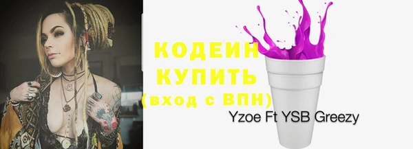 дживик Вязьма