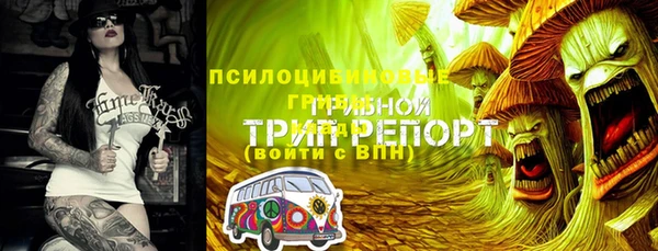 дживик Вязьма