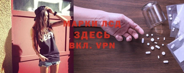 твердый Вяземский
