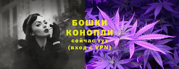 твердый Вяземский