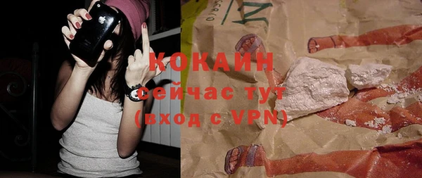 дживик Вязьма