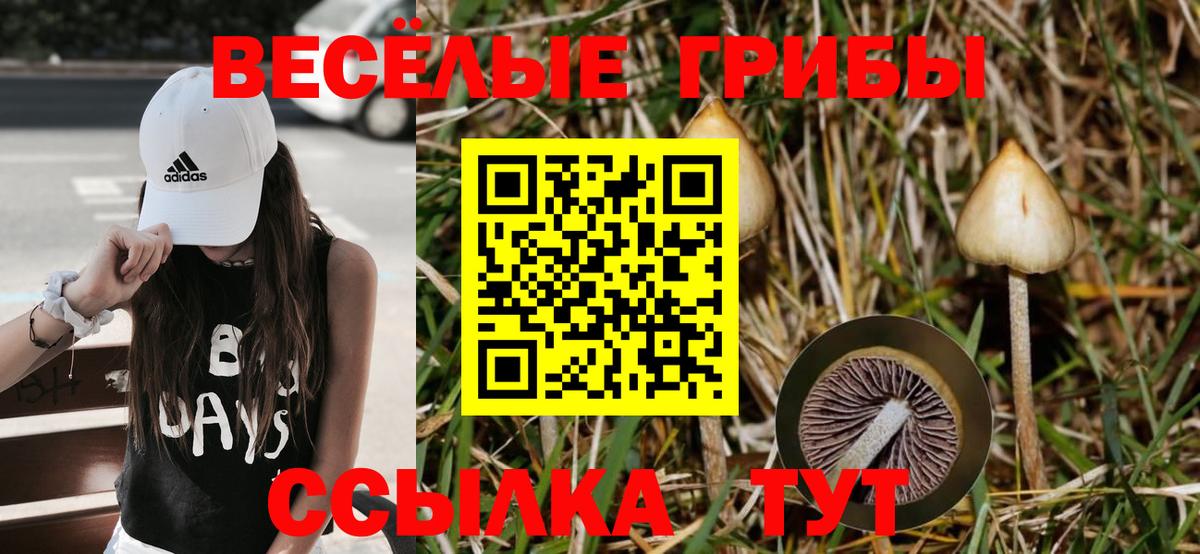 Дальнереченск  Псилоцибиновые грибы Psilocybe  Галлюциногенные грибы Psilocybine cubensis  Вход с VPN 